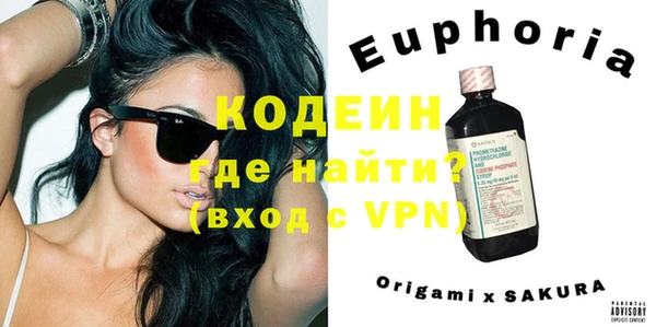 шишки Абаза