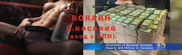 шишки Абаза