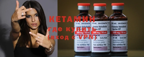 шишки Абаза