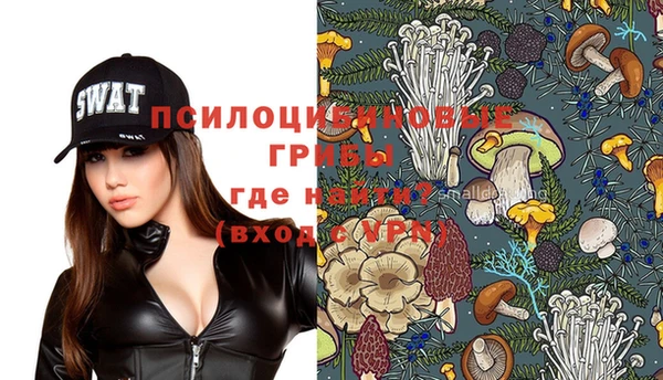 шишки Абаза