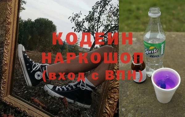 шишки Абаза