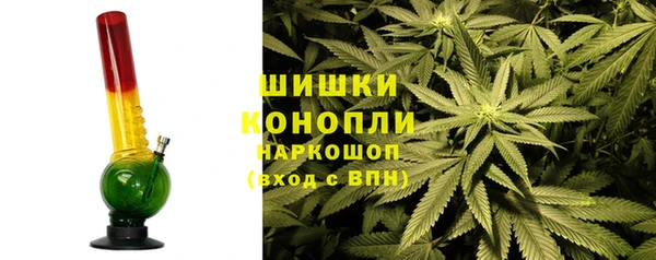 шишки Абаза
