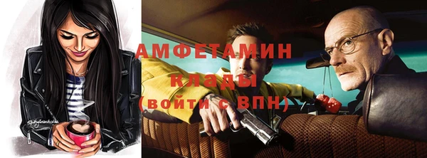 шишки Абаза